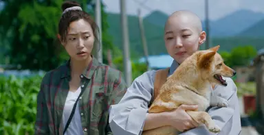 [단독] 배우 류아벨, 영화 '문경' 주연 발탁 : 네이트 연예