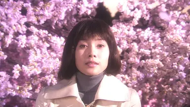 '혐오스런 마츠코', '금자씨'보다 친절해요 : 네이트 연예