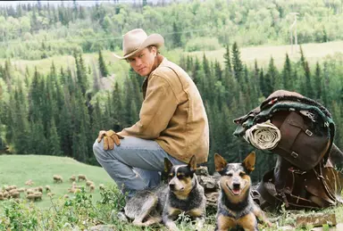 미국판 '왕의 남자' 브로크백 마운틴 美 1천만 관객 동원 : 네이트 뉴스