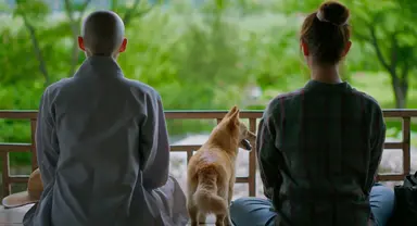 시골로 훌쩍 여행 떠나듯 보는 영화 2편…'문경'과 '풍기' | 연합뉴스