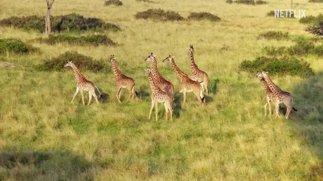 [넷플릭스] 케냐 간 세끼_1화