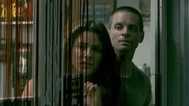 [매거진M] 어른이 되어 '닌자 거북이'에게 배운 것 : 네이트 뉴스